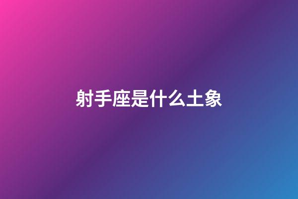 射手座是什么土象-第1張-星座運(yùn)勢(shì)-玄機(jī)派