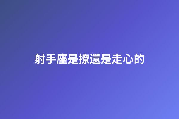 射手座是撩還是走心的