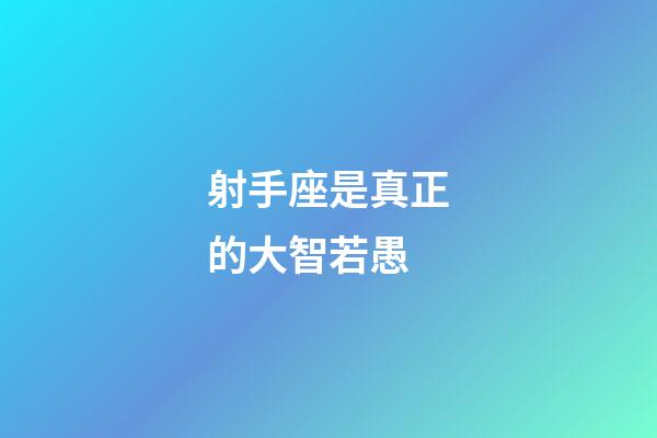 射手座是真正的大智若愚-第1張-星座運(yùn)勢-玄機(jī)派