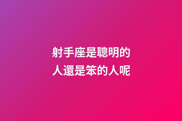 射手座是聰明的人還是笨的人呢-第1張-星座運勢-玄機(jī)派