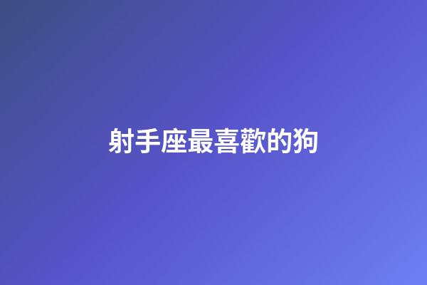 射手座最喜歡的狗-第1張-星座運勢-玄機派