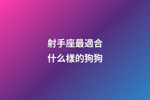 射手座最適合什么樣的狗狗-第1張-星座運勢-玄機派