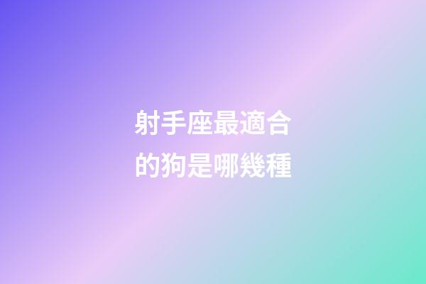 射手座最適合的狗是哪幾種-第1張-星座運勢-玄機派