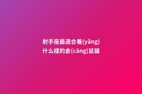 射手座最適合養(yǎng)什么樣的倉(cāng)鼠貓