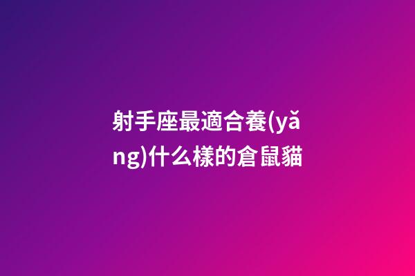射手座最適合養(yǎng)什么樣的倉鼠貓
