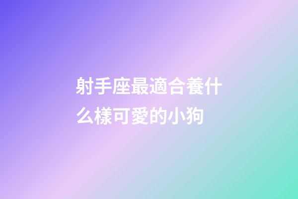 射手座最適合養什么樣可愛的小狗-第1張-星座運勢-玄機派