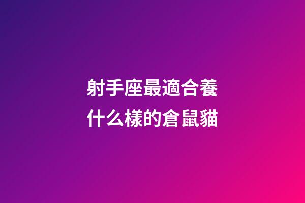 射手座最適合養什么樣的倉鼠貓