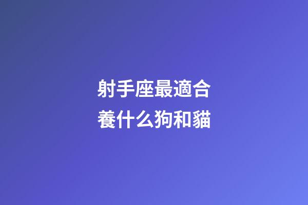 射手座最適合養什么狗和貓-第1張-星座運勢-玄機派