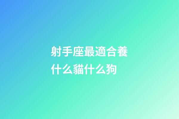 射手座最適合養什么貓什么狗-第1張-星座運勢-玄機派
