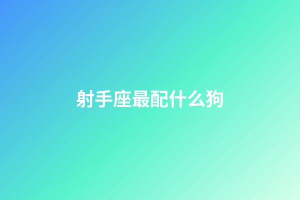 射手座最配什么狗-第1張-星座運勢-玄機派