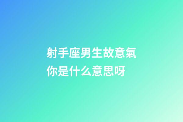 射手座男生故意氣你是什么意思呀