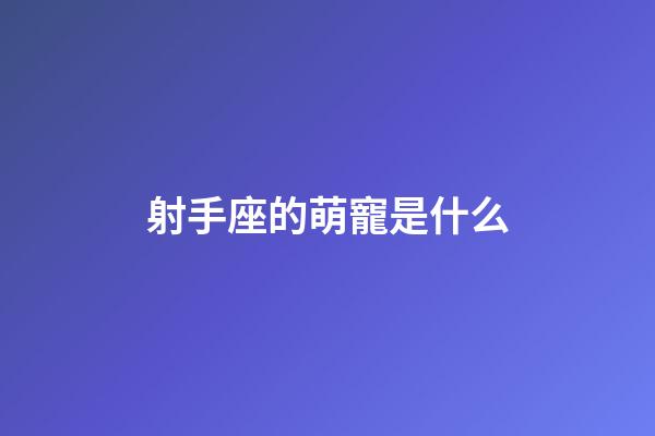 射手座的萌寵是什么-第1張-星座運勢-玄機派