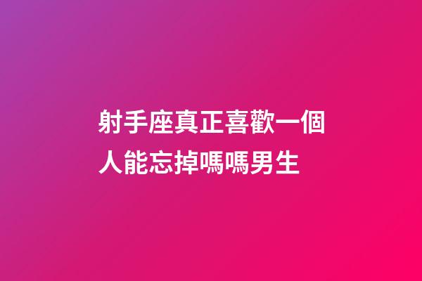 射手座真正喜歡一個人能忘掉嗎嗎男生-第1張-星座運勢-玄機派