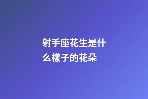 射手座花生是什么樣子的花朵-第1張-星座運勢-玄機(jī)派