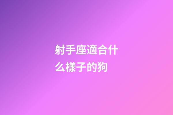 射手座適合什么樣子的狗-第1張-星座運勢-玄機派