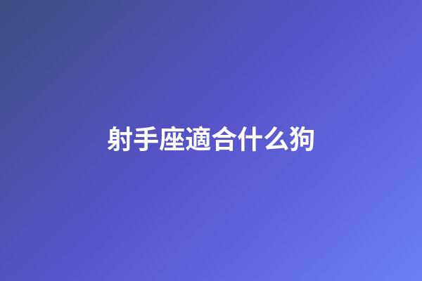 射手座適合什么狗-第1張-星座運勢-玄機派