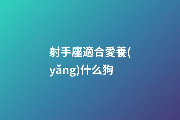 射手座適合愛養(yǎng)什么狗-第1張-星座運勢-玄機派