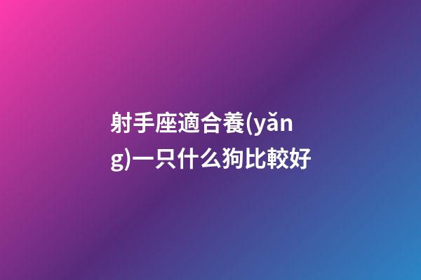 射手座適合養(yǎng)一只什么狗比較好-第1張-星座運勢-玄機派
