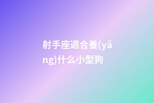 射手座適合養(yǎng)什么小型狗-第1張-星座運勢-玄機派