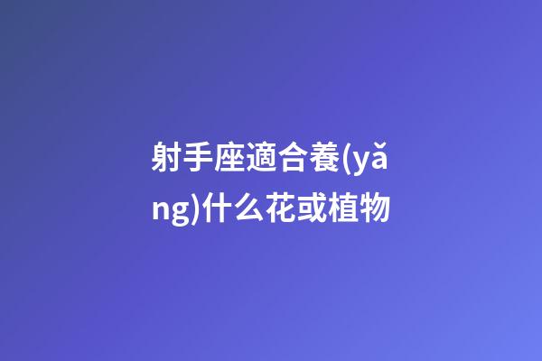射手座適合養(yǎng)什么花或植物