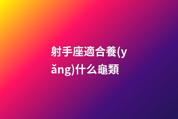 射手座適合養(yǎng)什么龜類-第1張-星座運勢-玄機派