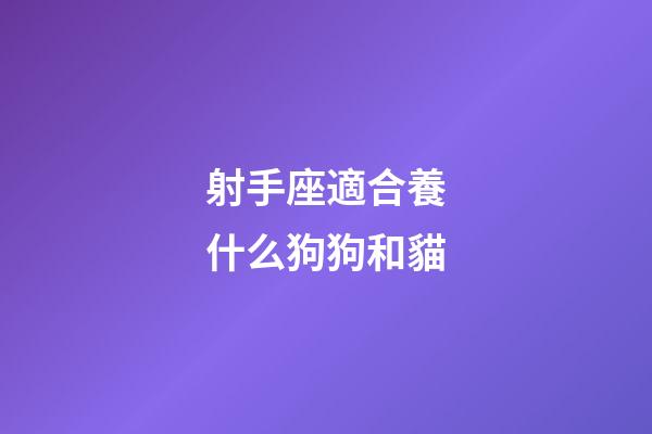射手座適合養什么狗狗和貓-第1張-星座運勢-玄機派