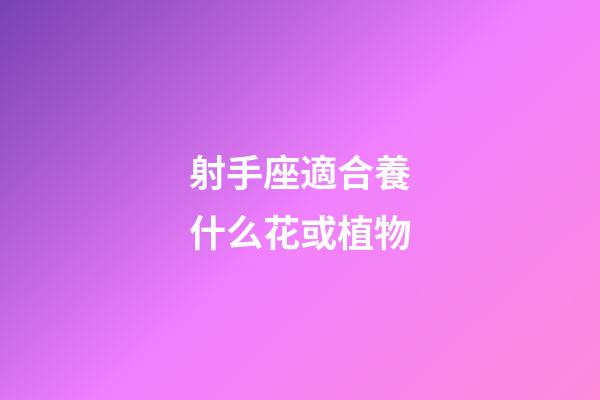 射手座適合養什么花或植物-第1張-星座運勢-玄機派