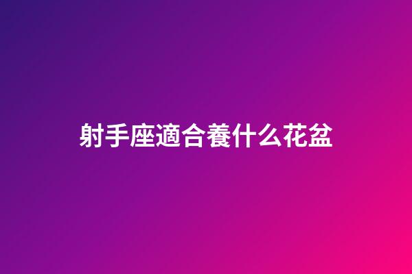 射手座適合養什么花盆