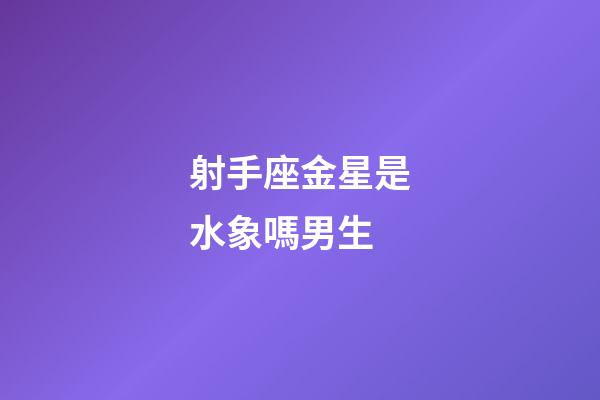 射手座金星是水象嗎男生-第1張-星座運勢-玄機派