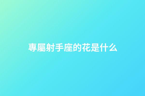 專屬射手座的花是什么-第1張-星座運(yùn)勢(shì)-玄機(jī)派