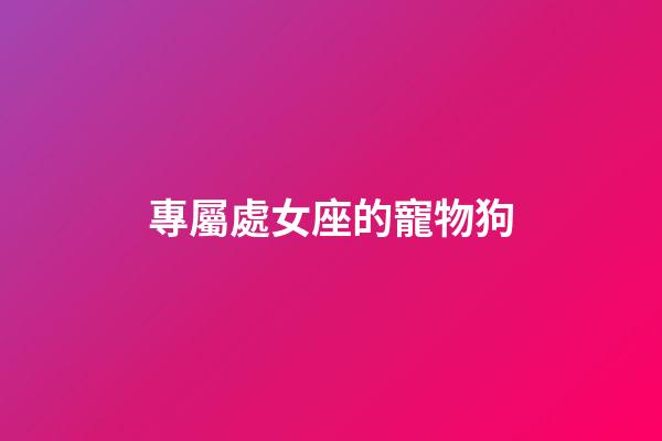 專屬處女座的寵物狗-第1張-星座運勢-玄機派