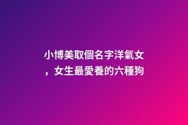 小博美取個名字洋氣女，女生最愛養的六種狗-第1張-觀點-玄機派