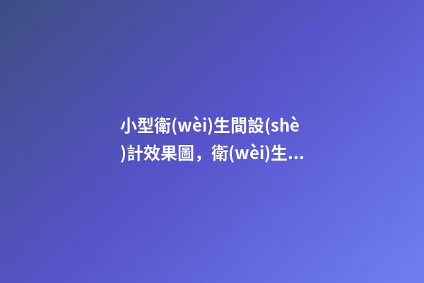 小型衛(wèi)生間設(shè)計效果圖，衛(wèi)生間就得這樣裝-第1張-觀點-玄機派