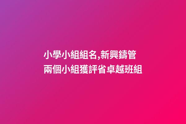 小學小組組名,新興鑄管兩個小組獲評省卓越班組-第1張-觀點-玄機派