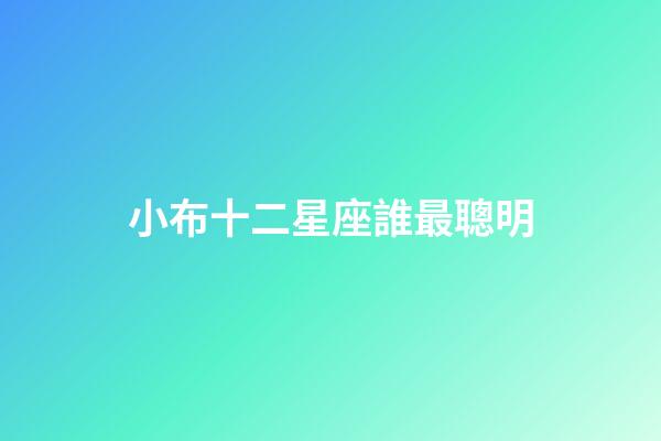小布十二星座誰最聰明-第1張-星座運(yùn)勢-玄機(jī)派