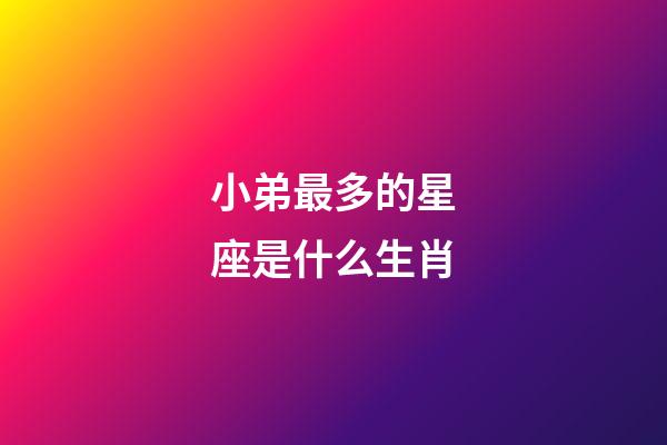 小弟最多的星座是什么生肖-第1張-星座運勢-玄機派