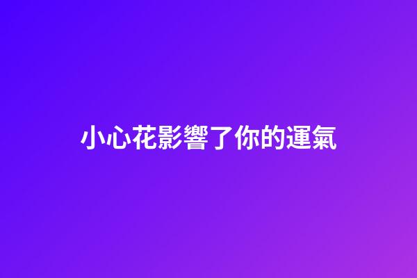 小心花影響了你的運氣