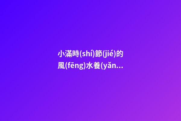 小滿時(shí)節(jié)的風(fēng)水養(yǎng)生