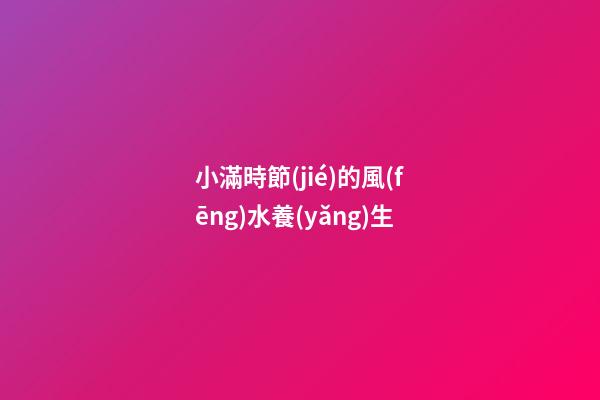 小滿時節(jié)的風(fēng)水養(yǎng)生