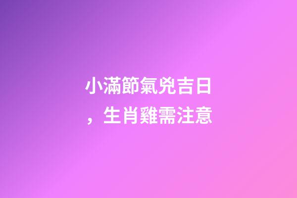 小滿節氣兇吉日，生肖雞需注意