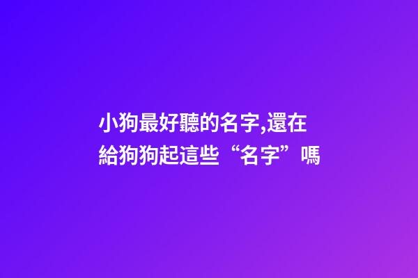 小狗最好聽的名字,還在給狗狗起這些“名字”嗎-第1張-觀點(diǎn)-玄機(jī)派