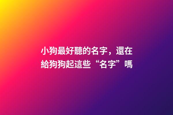 小狗最好聽的名字，還在給狗狗起這些“名字”嗎-第1張-觀點(diǎn)-玄機(jī)派