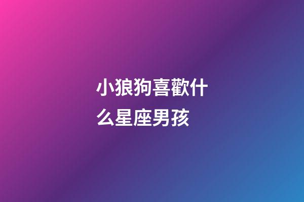 小狼狗喜歡什么星座男孩