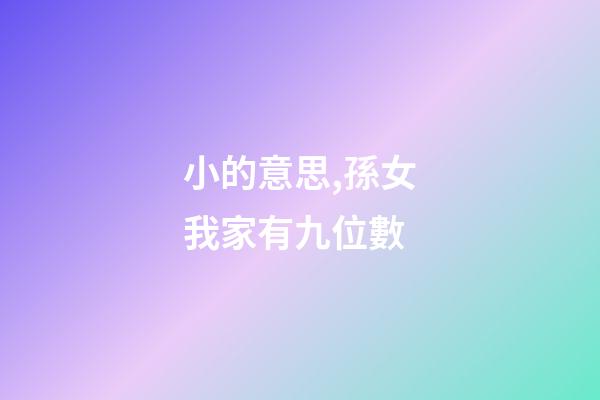 小的意思,孫女我家有九位數-第1張-觀點-玄機派