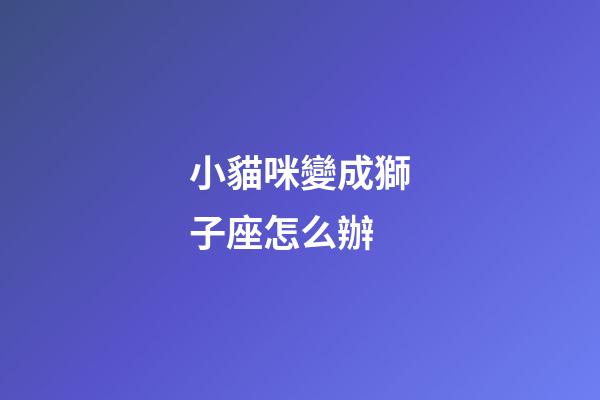 小貓咪變成獅子座怎么辦-第1張-星座運勢-玄機派