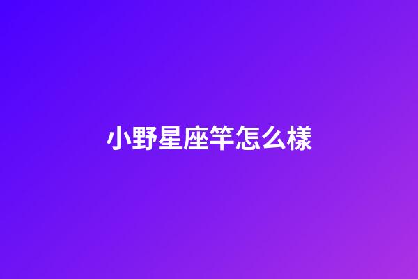 小野星座竿怎么樣-第1張-星座運勢-玄機派