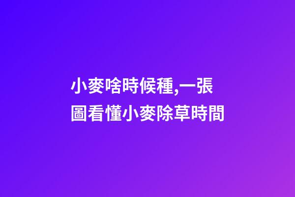 小麥啥時候種,一張圖看懂小麥除草時間-第1張-觀點-玄機派