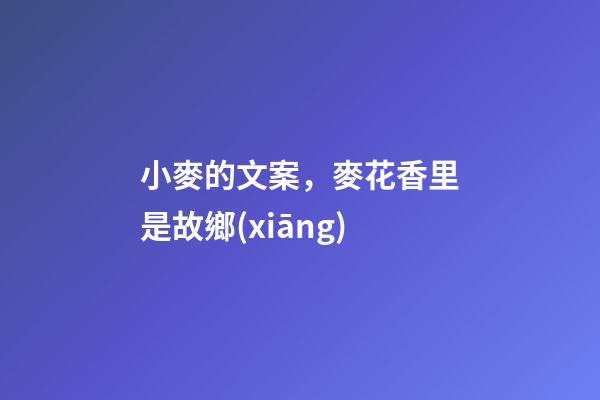 小麥的文案，麥花香里是故鄉(xiāng)-第1張-觀點-玄機派