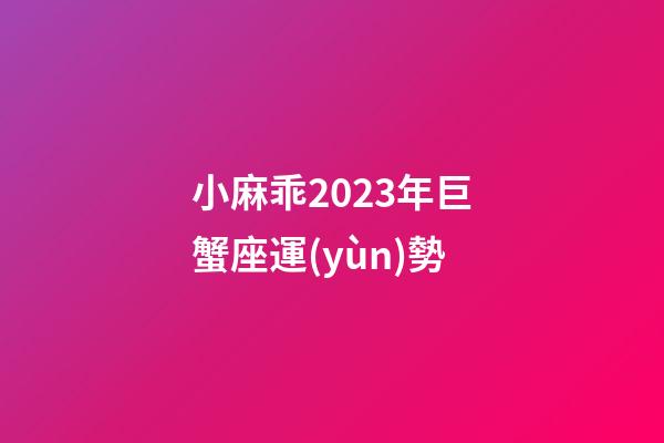 小麻乖2023年巨蟹座運(yùn)勢-第1張-星座運(yùn)勢-玄機(jī)派