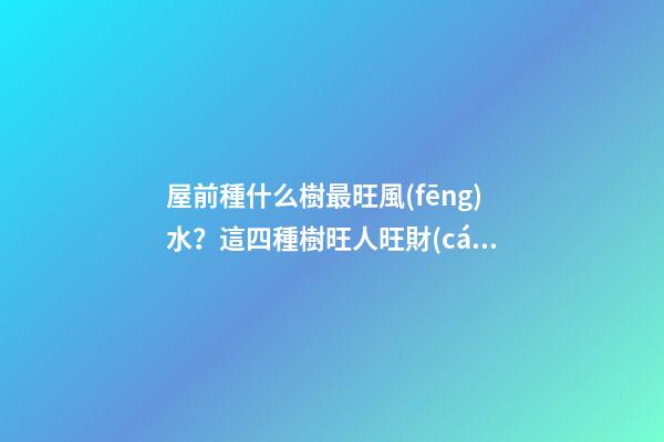 屋前種什么樹最旺風(fēng)水？這四種樹旺人旺財(cái)